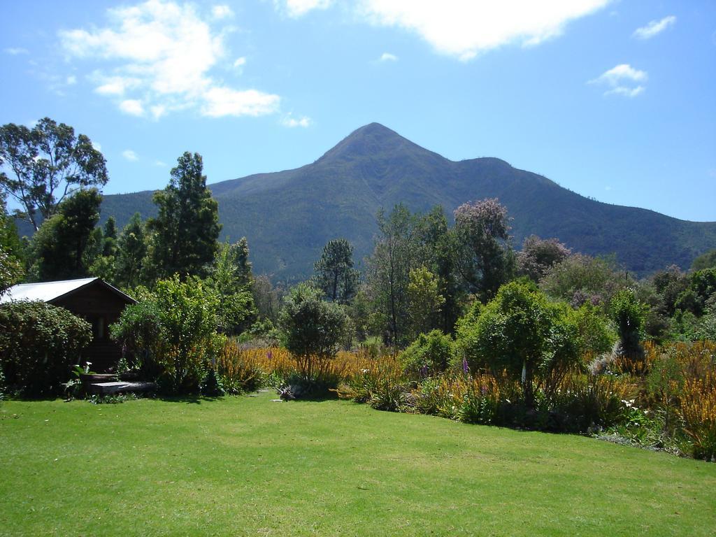 Pear Tree Cottage Stormsrivier Room photo