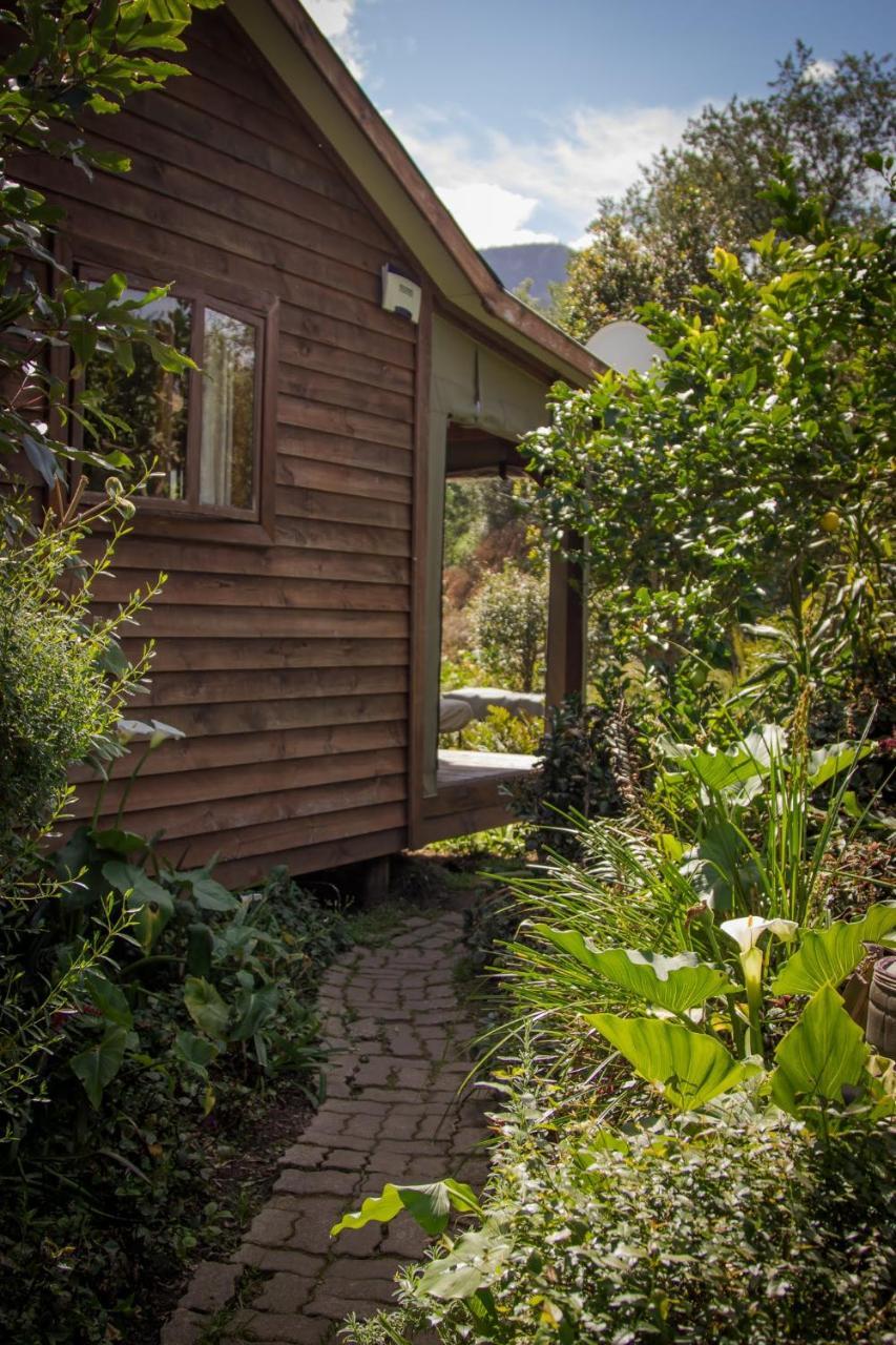 Pear Tree Cottage Stormsrivier Exterior photo